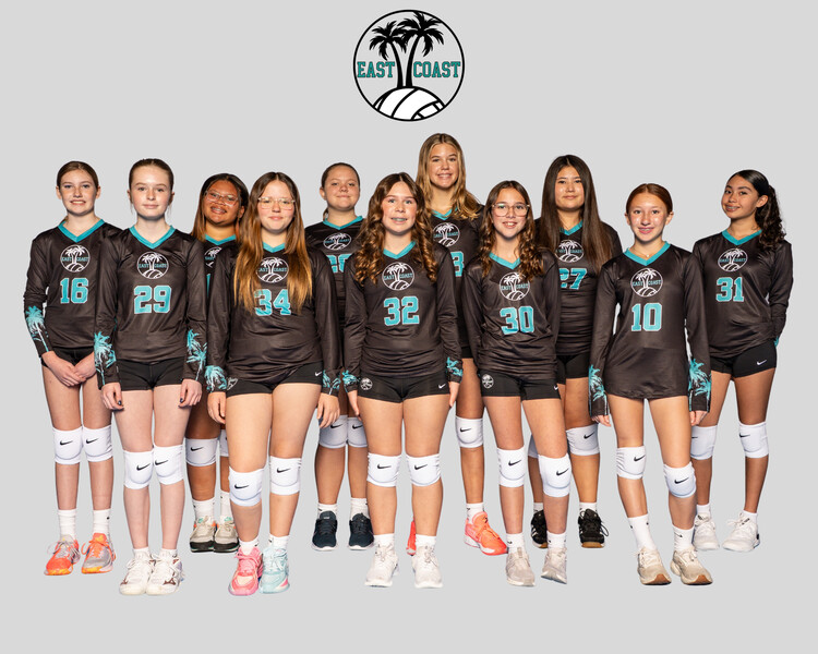 Click to see team details