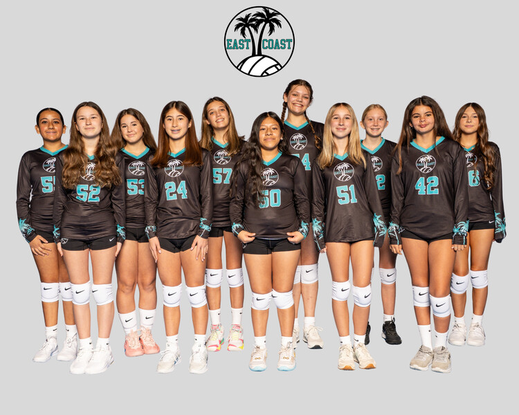 Click to see team details