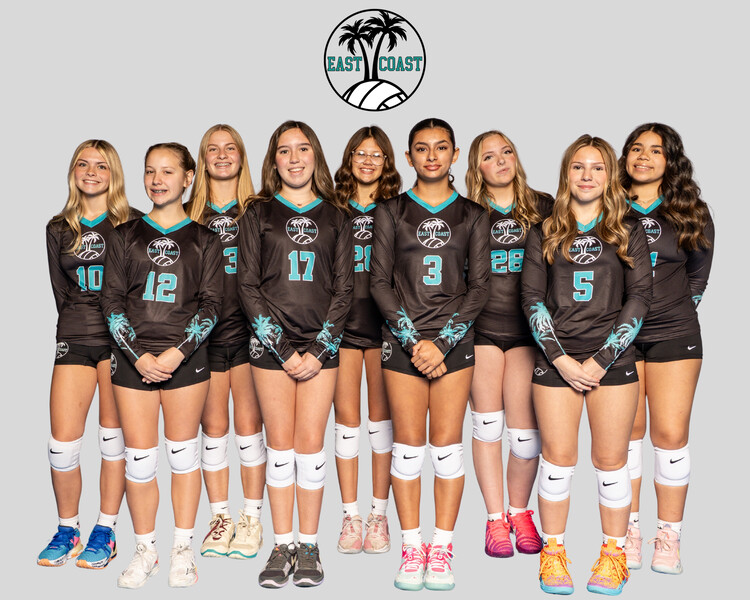 Click to see team details